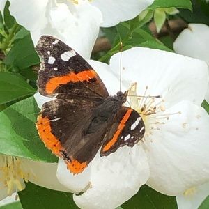 Meet your Posher, Kristin